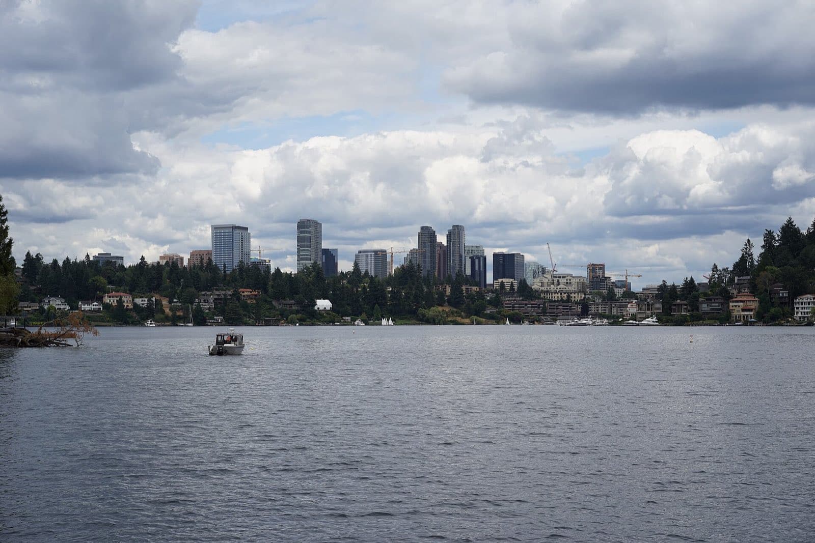 The Bellevue skyline rising above evergreens and waterfront homes across Lake Washington.